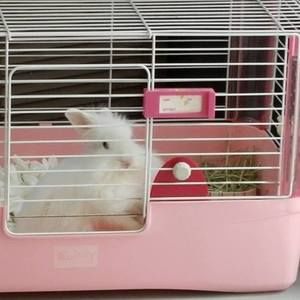 Meet your Posher, Jessie